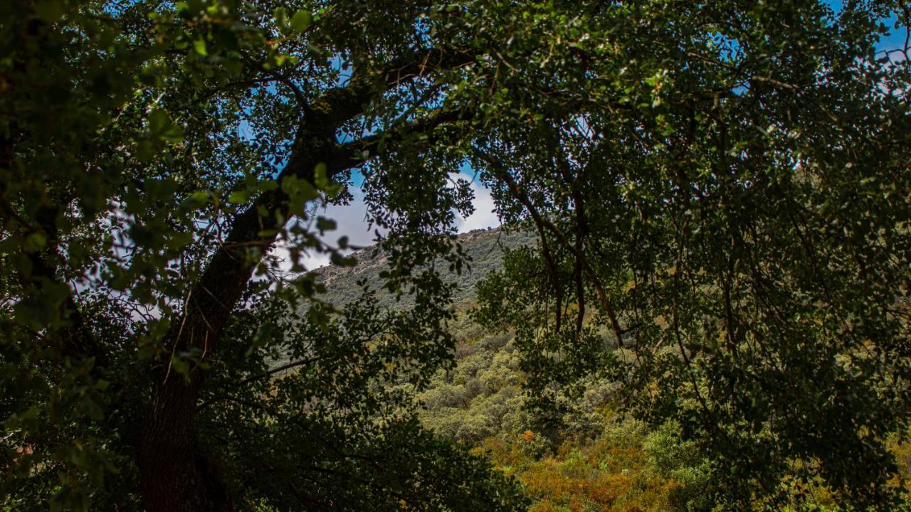 Casa Rural Valle De Los Molinos El Cristo del Espiritu Santo Екстер'єр фото