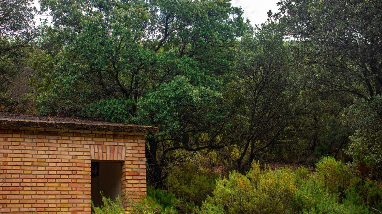 Casa Rural Valle De Los Molinos El Cristo del Espiritu Santo Екстер'єр фото