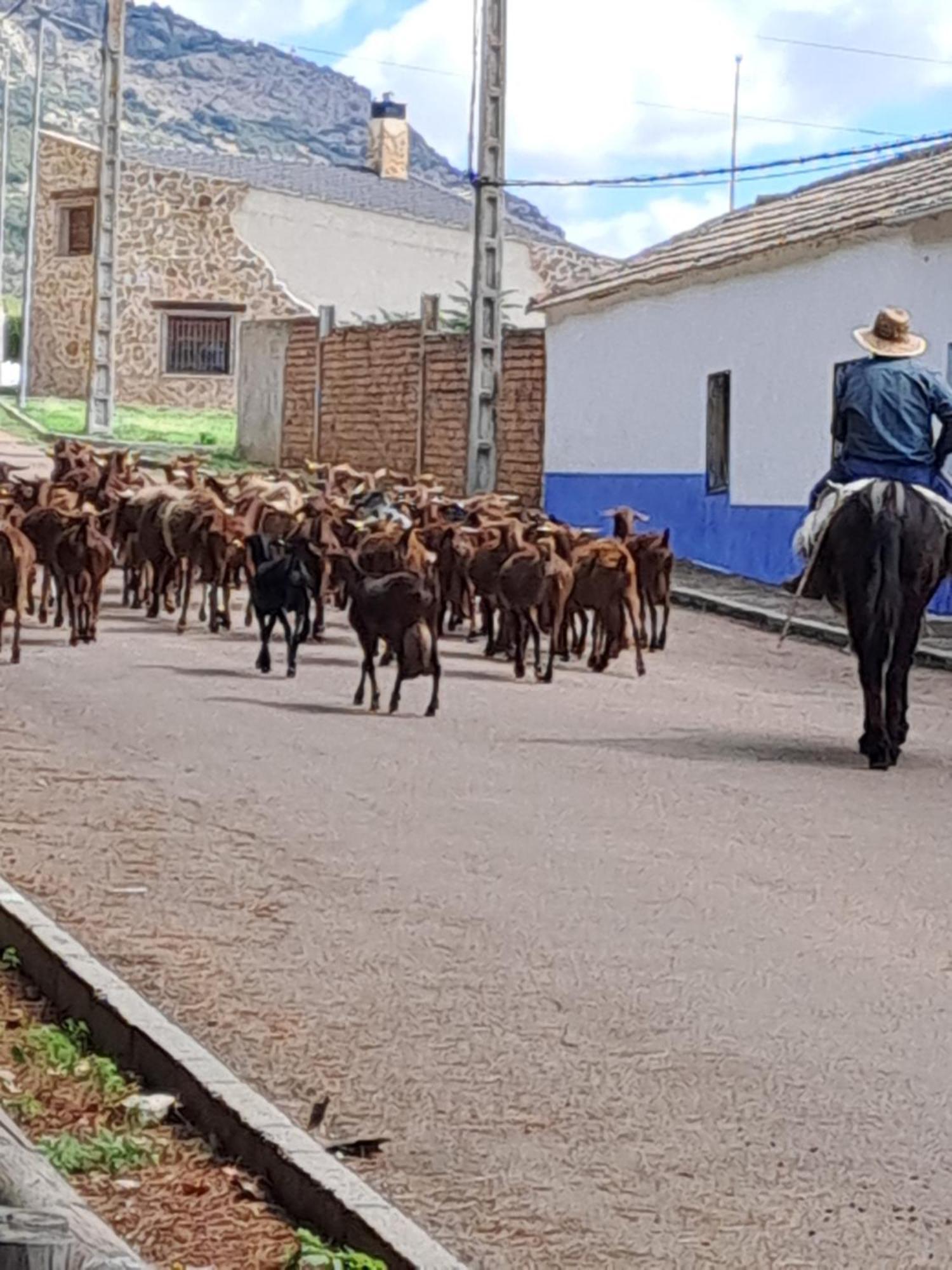 Casa Rural Valle De Los Molinos El Cristo del Espiritu Santo Екстер'єр фото